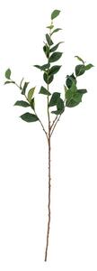 Pianta di eucalipto finta (altezza totale 110 cm) Eucalyptus – Bloomingville