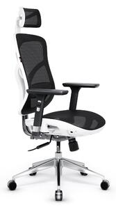 Diablo V-Basic Sedia ergonomica da ufficio Sedia direzionale in rete braccioli regolabili Altezza regolabile Bianco-Nero