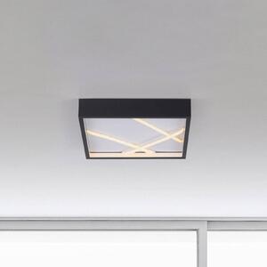 JUST LIGHT. GmbH Plafoniera a LED Mikado, dimmerabile, Nero, Soggiorno / Sala da pranzo, Metallo, Moderno, Plafoniera LED