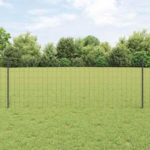Recinzione in Rete Saldato 10 x 0,8 m (L x H)