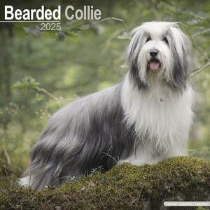 Calendario 2025 Bearded Collie