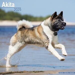 Calendario 2025 Akita