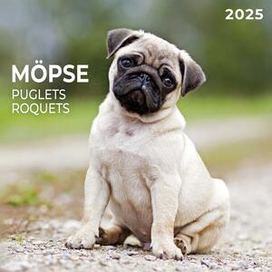 Calendario 2025 Puglets