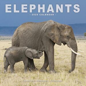 Calendario 2025 Elephants