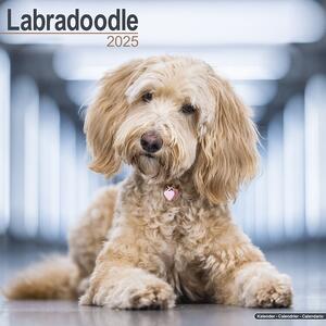 Calendario 2025 Labradoodle