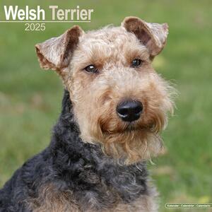 Calendario 2025 Welsh Terrier