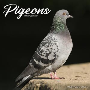 Calendario 2025 Pigeons