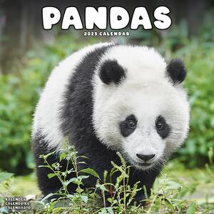 Calendario 2025 Pandas