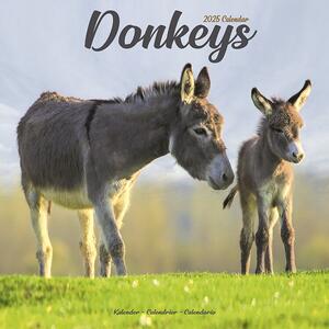 Calendario 2025 Donkeys