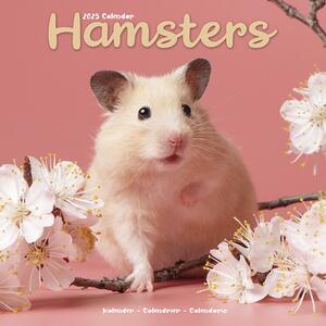 Calendario 2025 Hamsters