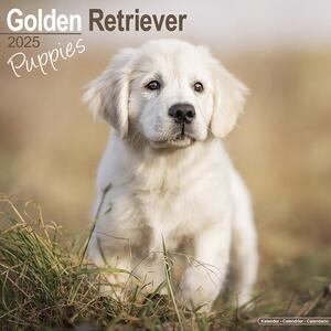 Calendario 2025 Golden Retriever Puppies