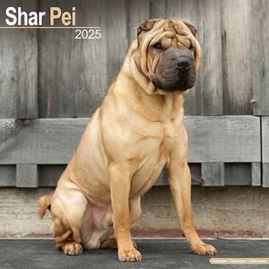 Calendario 2025 Shar Pei