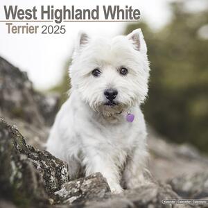 Calendario 2025 West Highland Terrier