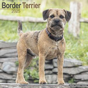 Calendario 2025 Border Terrier