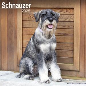 Calendario 2025 Schnauzer