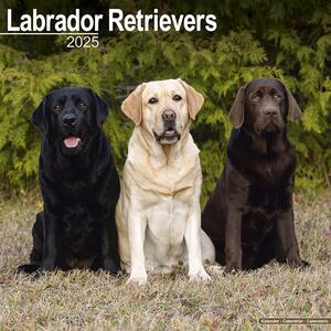 Calendario 2025 Labrador Ret