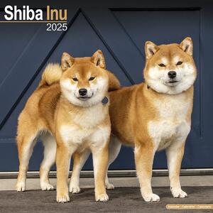 Calendario 2025 Shiba Inu