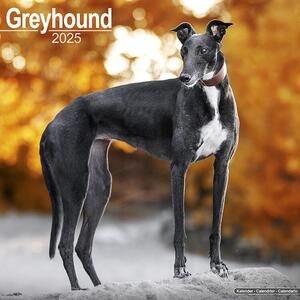 Calendario 2025 Greyhound