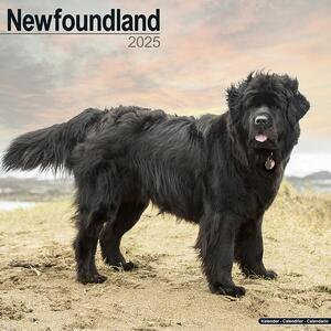 Calendario 2025 Newfoundland