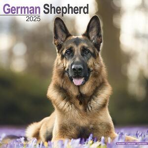 Calendario 2025 German Shepherd