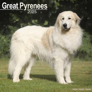 Calendario 2025 Great Pyrenees