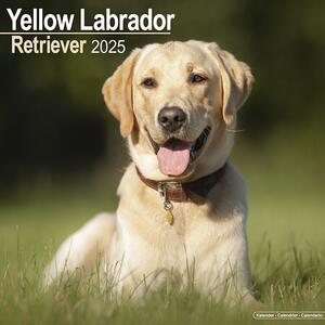 Calendario 2025 Labrador Ret Yellow