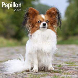 Calendario 2025 Papillon