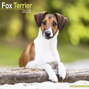 Calendario 2025 Fox Terrier