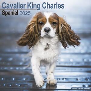 Calendario 2025 Cavalier King Charles