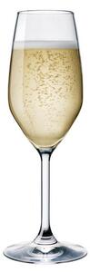 Calice per champagne e spumante in vetro sottile, brillante e trasparente come il cristallo, qualità ed eleganza ad un prezzo estremamente conveniente, lavabile in lavastoviglie