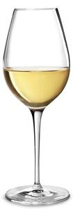 <p>Calice per la degustazione di vini rossi fruttati e freschi e vini bianchi quali Beaujolais, Pinot Noir, Chardonnay, Pinot Grigio....</p>