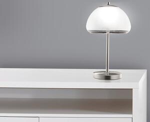 *Lampada da tavolo a LED in nichel opaco con paralume in vetro satinato *DALLAS* Lampada da tavolo, da comodino e davanzale incl. 1x modulo LED da 5 watt 3000K bianco caldo