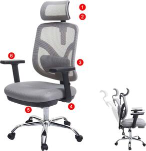 Sedia da ufficio SIHOO sedia da scrivania, ergonomica, supporto lombare e bracciolo regolabili ~ grigio