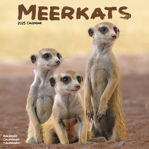 Calendario 2025 Meerkats