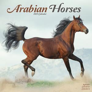 Calendario 2025 Arabian Horses