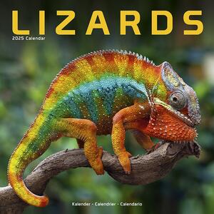 Calendario 2025 Lizards