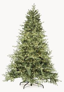 Albero di Natale artificiale a micro-LED Shand, varie misure
