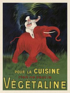 Stampa artistica V g taline Vintage Ad Ft Elephant - Leonetto Cappiello, (30 x 40 cm)