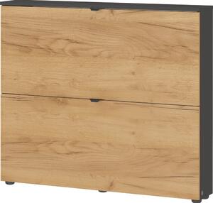 Scarpiera color antracite/di colore naturale con effetto rovere con ante ribaltabili/da parete 100x85x19 cm Renell – Germania