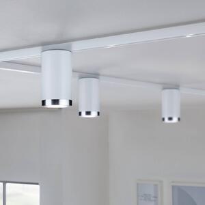 Paulmann URail Faretto su binario Tube, bianco segnale, metallo, GU10 dimmerabile, Bianco / Opale, Soggiorno / Sala da pranzo, Metallo, Moderno