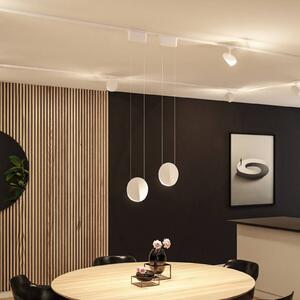 Paulmann URail Lampada a sospensione LED Alejandro, bianco segnale, 3000K, dimmerabile, Bianco / Opale, Soggiorno / Sala da pranzo, Plastica, Moderno