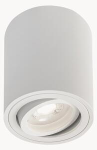 Faretto da soffitto Argo Pivot