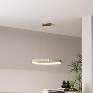 Luce Ambiente Design Lampada LED a sospensione Niike, color oro, Ø 50 cm, metallo, CCT Niike, Ottone / Oro, Soggiorno / Sala da pranzo, Metallo, Moderno