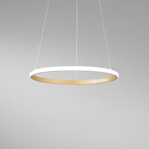Luce Ambiente Design Lampada LED a sospensione Axis, Ø 40 cm, color oro, metallo, CCT Axis, Ottone / Oro, Soggiorno / Sala da pranzo, Metallo, Moderno