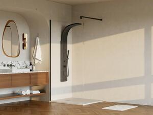 Porta per doccia walk-in 120 x 200 cm Nero opaco Stile industriale - DAREN