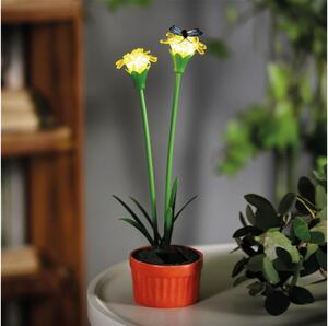 Lampada solare a LED/1,2V 200 mAh IP44 a forma di fiore