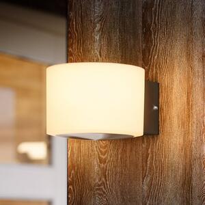 Philips Applique da esterni a LED Otis UE, Bianco / Opale, Acciaio Inox, Moderno, Applique LED da esterni