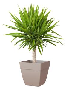 Vaso per piante e fiori Capri ARTEVASI in plastica colore tortora H 40 cm, L 40 x P 40 cm