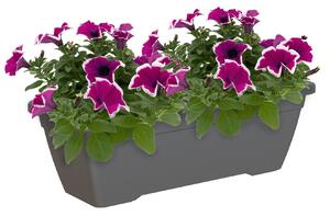 Vaso per piante e fiori Gardenie ARTEVASI in plastica colore antracite H 16.3 cm, L 40 x P 19.5 cm