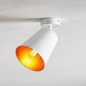 EMIBIG LIGHTING Spot soffitto Prism di acciaio, 1 luce, bianco/oro